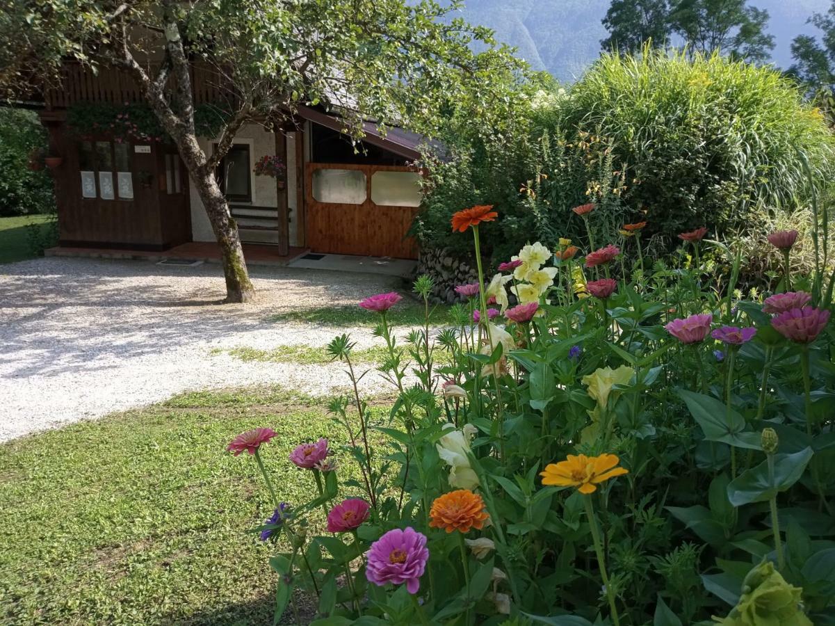 Holiday House Zeleni Gaj Bovec Extérieur photo