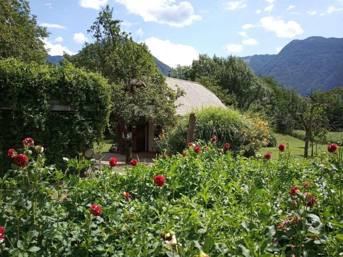 Holiday House Zeleni Gaj Bovec Extérieur photo